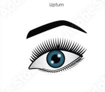 Photo example of upturned eyes